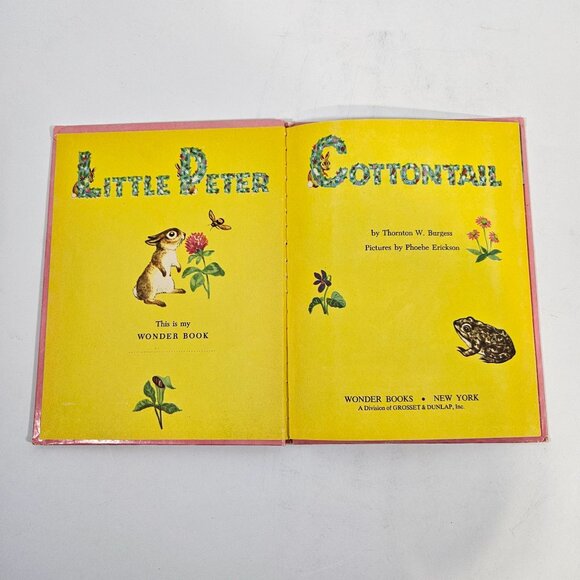 Vintage Wonder Books Lot of 8 Henny Penny Black Beauty Peter Cottontail 1950s - Picture 7 of 16